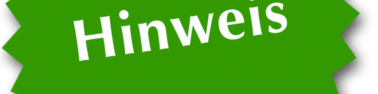 Aktuelle Information zur WIFI-Lernplattform