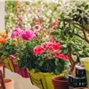 Klimafit für Garten und Balkon - Titelbild