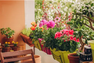 Zu Blogartikel 'Klimafit für Garten und Balkon' wechseln