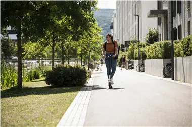 Zu Blogartikel 'Was Stadtbäume brauchen' wechseln